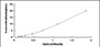 Typical Standard Curve for MMRN2 ELISA (Sandwich)