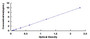 Typical Standard Curve for MARCKS ELISA (Sandwich)