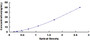 Typical Standard Curve for NOTCH2 ELISA (Sandwich)