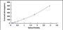 Typical Standard Curve for PLGF ELISA (Sandwich)