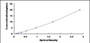 Typical Standard Curve for PAFAH2 ELISA (Sandwich)