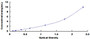 Typical Standard Curve for PCSK5 ELISA (Sandwich)