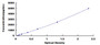 Typical Standard Curve for PKBb ELISA (Sandwich)