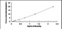Typical Standard Curve for RAB37 ELISA (Sandwich)