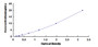 Typical Standard Curve for REPIN1 ELISA (Sandwich)