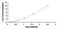 Typical Standard Curve for ARHGEF7 ELISA (Sandwich)