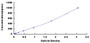 Typical Standard Curve for S100 ELISA (Sandwich)