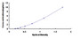 Typical Standard Curve for STK11 ELISA (Sandwich)