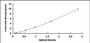Typical Standard Curve for TERF1 ELISA (Sandwich)