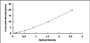 Typical Standard Curve for TFR2 ELISA (Sandwich)