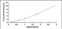 Typical Standard Curve for TGM1 ELISA (Sandwich)