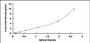 Typical Standard Curve for TP63 ELISA (Sandwich)