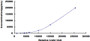 Typical Standard Curve for OPG CLIA (Sandwich)