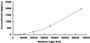 Typical Standard Curve for uPA CLIA (Sandwich)