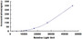 Typical Standard Curve for Bcl2 CLIA (Sandwich)