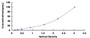 Typical Standard Curve for LAMA1 ELISA (Sandwich)