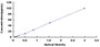 Typical Standard Curve for Igk ELISA (Sandwich)