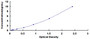 Typical Standard Curve for GSDMD ELISA (Sandwich)