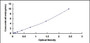 Typical Standard Curve for DNMT1 ELISA (Sandwich)