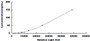 Typical Standard Curve for IGF1 CLIA (Sandwich)