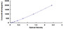 Typical Standard Curve for Kim1 ELISA (Sandwich)