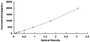 Typical Standard Curve for TARC ELISA (Sandwich)
