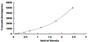 Typical Standard Curve for SCCA1/SCCA2 ELISA (Sandwich)