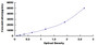 Typical Standard Curve for SCCA1/SCCA2 ELISA (Sandwich)