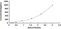 Typical Standard Curve for IL18 ELISA (Sandwich)