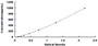 Typical Standard Curve for ASAH2 ELISA (Sandwich)