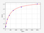 Standard Curve