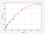Standard Curve