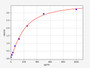 Standard Curve