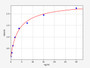 Standard Curve