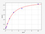 Standard Curve