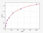 Standard Curve