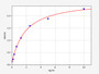 Standard Curve