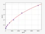 Standard Curve