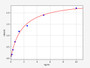 Standard Curve