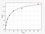 Standard Curve