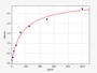 Standard Curve