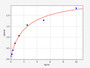 Standard Curve