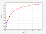 Standard Curve