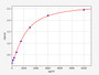 Standard Curve