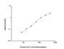 Standard Curve