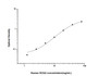 Standard Curve