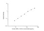Standard Curve