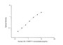 Standard Curve