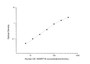 Standard Curve