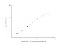Standard Curve